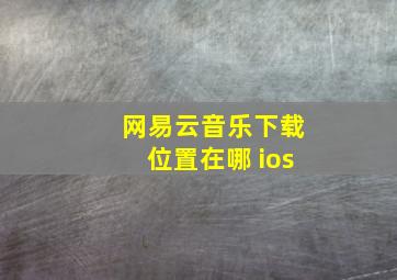 网易云音乐下载位置在哪 ios